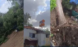 Antalya'da yaz ortasında fırtına! Çatılar uçtu, ağaçlar devrildi