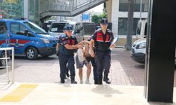 Alanya'da çocuklu aracı gasbetti, jandarmaya direndi!