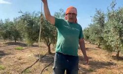 "Ben öldürdüm" dedi, 22 bin TL ceza geldi!