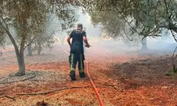 Kepez Çamlıca’daki orman yangını 4 saatte kontrol altına alındı