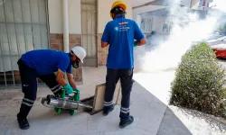 Asya kaplan sivrisineği için kritik uyarı!