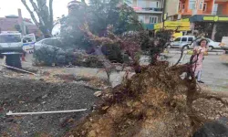 Isparta’da fırtınaya dayanamayan ağaç, otomobilin üzerine devrildi