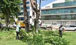 Kepez Belediyesi’nden uyuşturucu sığınaklarına operasyon