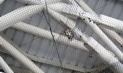 Antalya Nekropol Müzesi'nde kuş ölümlerine karşı ultrasonik kuşsavar dönemi