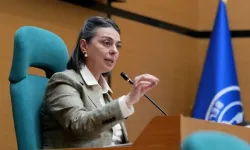 Sinem Dedetaş kimdir, neden gözaltına alındı? YENİ Parti'ye geçecek miydi?
