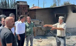 Kaş yangınında bilanço ortaya çıktı! Atay Uslu açıkladı