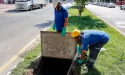 Antalya Büyükşehir'in sivrisinek mücadelesi sürüyor