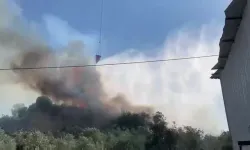 Aksu’da ormanlık ve zeytinlik alanda yangın çıktı
