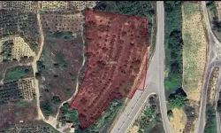 Alanya Okurcalar’da hazine arazisi satışa çıkarıldı