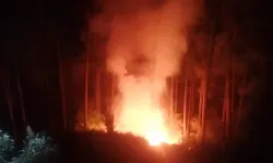 Antalya’da yangınlar peş peşe! Alanya’da ormanlık alan zarar gördü