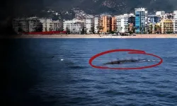 Alanya’da 31 metre derindeki arıtma boruları su yüzeyine çıktı!