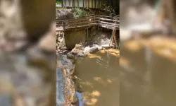 Alanya’da skandal! Atık sular dereye bırakılmış
