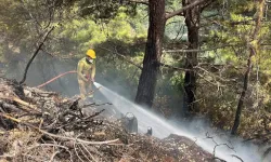 Alanya'da 1 dönüm orman kül oldu