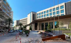 Antalya’da 30 yıllık hurma ağaçlarını söküp beton döktüler