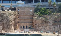 Antalya’da 30 yıllık hurma ağaçlarını söküp beton döktüler