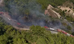 Alanya'da yol kenarında çıkan yangın büyüdü! 5 dönüm orman zarar gördü