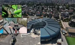 Butterfly World Antalya nerede, nasıl gidilir, içerisinde neler var? 2026 giriş ücreti