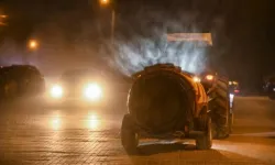 Demre’de sivrisinek istilası! İlçede uyku haram oldu…