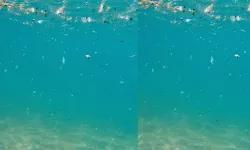 Antalya’nın el değmemiş koyu plastik çöplüğüne döndü!
