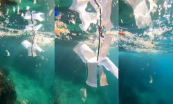 Akdeniz’de mikroplastik alarmı! Su altında kirlilik 3 kat fazla