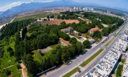 Dokuma'nın geleceğini yapay zekaya teslim edip ranta mı açacaksınız?