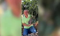 Eşini bıçaklayıp int*har etmeye kalktı!