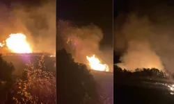 Gazipaşa’da gece çıkan orman yangını söndürüldü, D-400 trafiğe açıldı