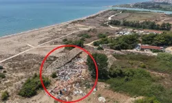 “Kaplumbağa Dostu” otelden caretta carettalara darbe! Sertifikası iptal edildi