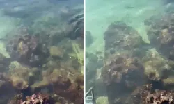 Kaş'ta denize atık su bırakıldı! ASAT’a 839 bin TL ceza