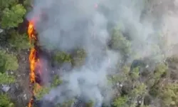 Antalya’da orman yangını: Ekipler havadan ve karadan müdahale ediyor