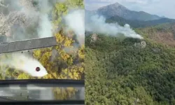 Kemer’de ormanlık alan alevlere teslim oldu! Çıralı’da yangın