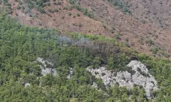 Kemer'de sıcak saatler! Çıralı yangınında son durum ne?