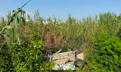 Manavgat’ta otomobil dereye düştü: Sürücü yaralandı, kaza anı kamerada