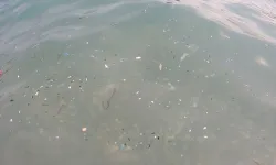 Konyaaltı Plajı için mikroplastik uyarısı! "Bu yıl berrak suya rastlamadık"