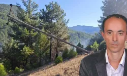 Manavgat'ta yangın riskini artıran tehlike! Muhtar yetkililere seslendi