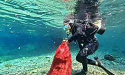 Kırkgöz’de temizlik yapan dalgıçlar gördüklerine inanamadı