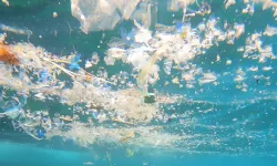 Akdeniz kıyıları mikroplastik altında, Bakanlığın gündemi kiralama!
