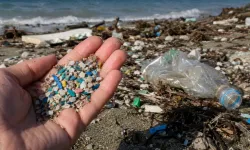 Prof. Dr. Öztürk uyardı: "Plastik atıklar güneşte parçalanarak ekosisteme yayılıyor"