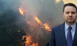 Orman yangınlarında adli süreç başladı: Antalya da soruşturma listesinde
