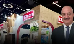 Osman Kadiroğlu kimdir, nereli? Neden gözaltına alındı? Serveti