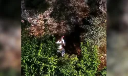 Yavuz Özcan Parkı’nda tepki çeken görüntüler! Mahalle sakinleri isyan etti