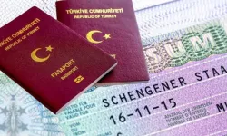 Antalya'da vize randevularında “bot” operasyonu: 41 bin kişiyi dolandırmışlar
