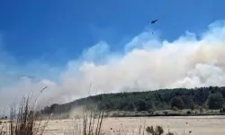 Seydikemer’deki yangın Kaş’a ilerliyor! Saklıkent Kanyonu kapatıldı