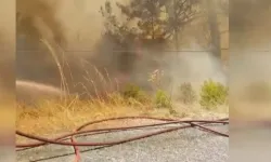 Sapadere'nin ardından Alanya'da bir orman yangını daha