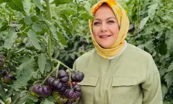 Sema Silkin Ün kimdir, kaç yaşında, nereli? AK Parti’ye geçecek mi?