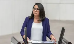 TİP Milletvekili Sera Kadıgil hakkında iki soruşturma!