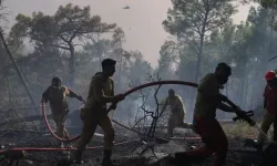 Seydikemer-Kaş hattındaki orman yangınının enerjisi düşürüldü