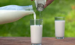 Süte bir tutam tuz atın, etkisini görün! Çok şaşıracaksınız
