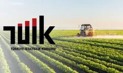 Tarımda maliyetler aylık geriledi, yıllık baskı sürüyor