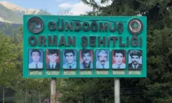 Yeşil vatan için can verdiler! Antalya’nın 6 orman şehidi unutulmadı